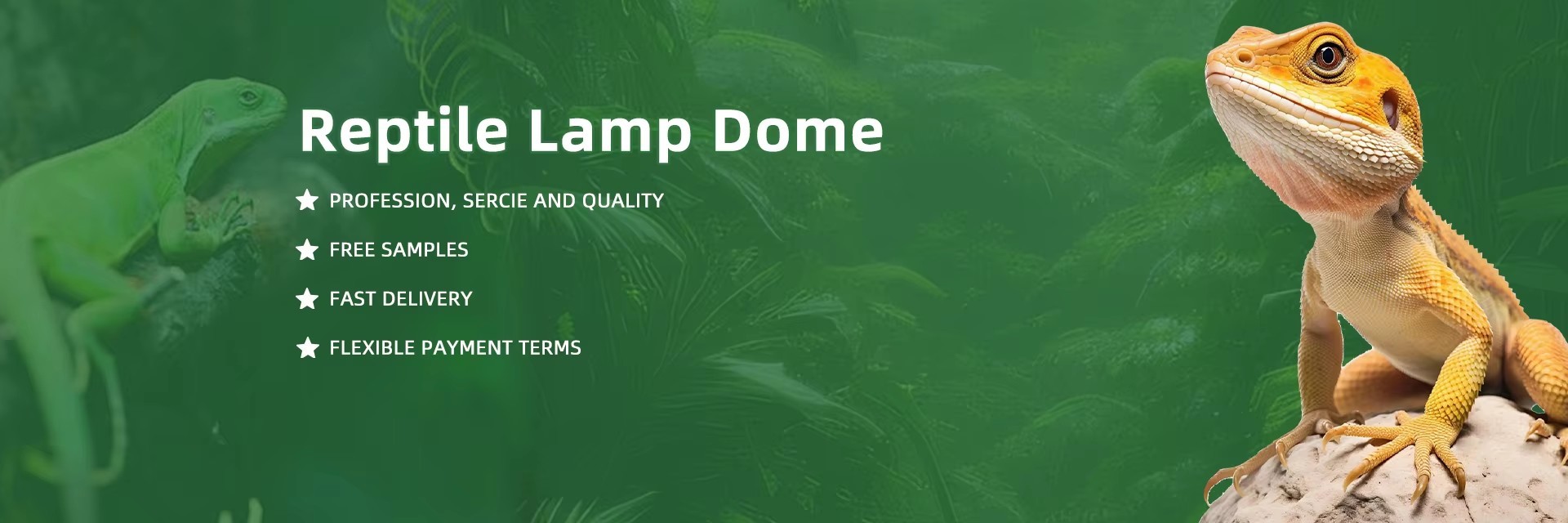 qualità Kit di luci UVB per rettili fabbrica