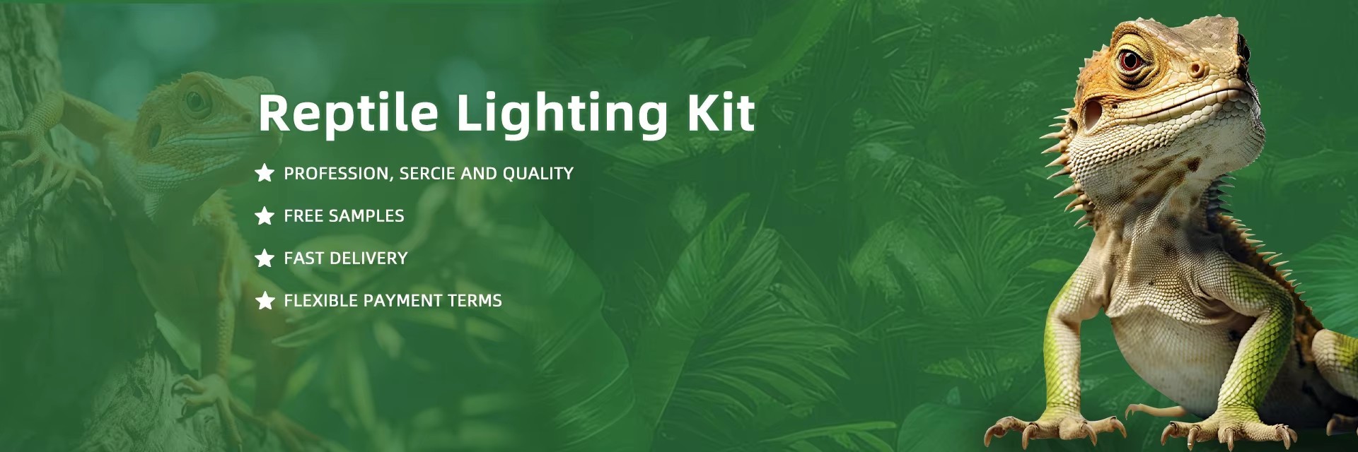 quality Reptile UVB Light Kit factory