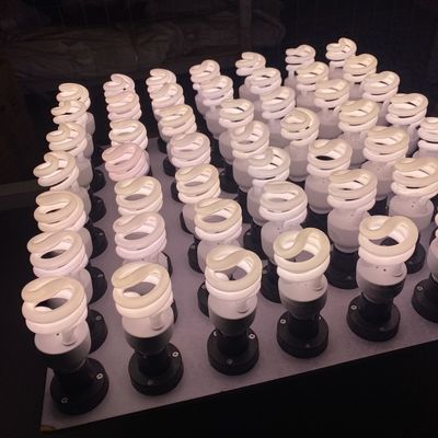 Lizards Bearded Dragons Reptile Bulb Desert UVA UVB Light 13Watt