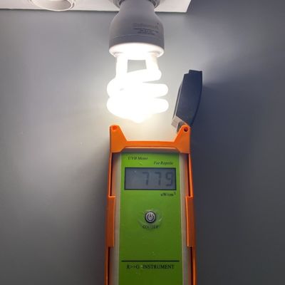 Desert And Tropical Reptiles 5.0 UVA UVB Combination Bulb White