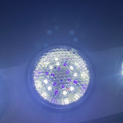 Full Spectrum Uva Uvb Lamps For Tortoises Chameleon 110V-220V