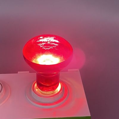 E27 Reptile Heat Lamp 50W 75W 100W 150w Basking Bulb For Bearded Dragon