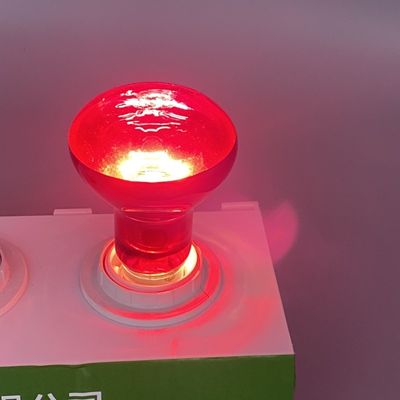 Night Infrared Reptile Basking Light E26 E27 100 Watt Reptile Bulb