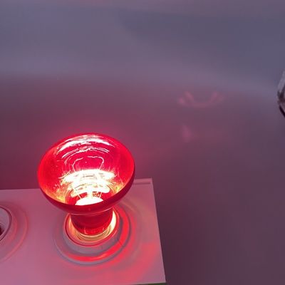 Night Infrared Reptile Basking Light E26 E27 100 Watt Reptile Bulb