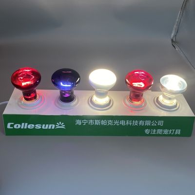 White Blue Red Heat Lamp Bulb For Reptiles 75W Basking Bulb For Bearded Dragon