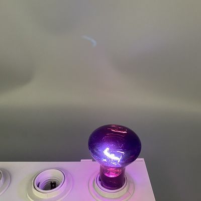 OEM Day And Night Reptile Heat Lamp E27 150 Watt Basking Bulb