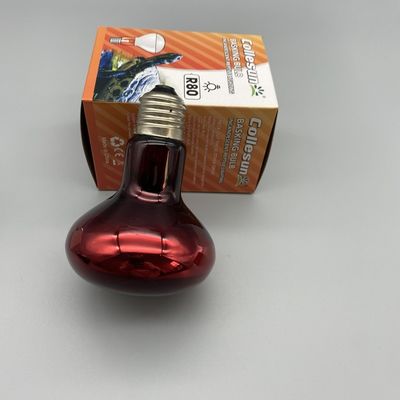 R63 R80 75W Spot Reptile Heat Lamp For Amphibian Bearded Dragon Lizard Tortoise Spider Snake Chameleon