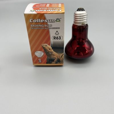 OEM R63 R80 60W 75W Uva Uvb Heat Bulb For Reptile And Amphibian