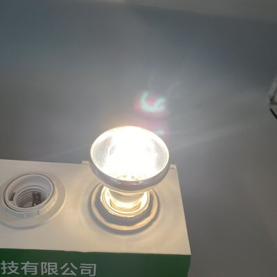 OEM R63 R80 60W 75W Uva Uvb Heat Bulb For Reptile And Amphibian