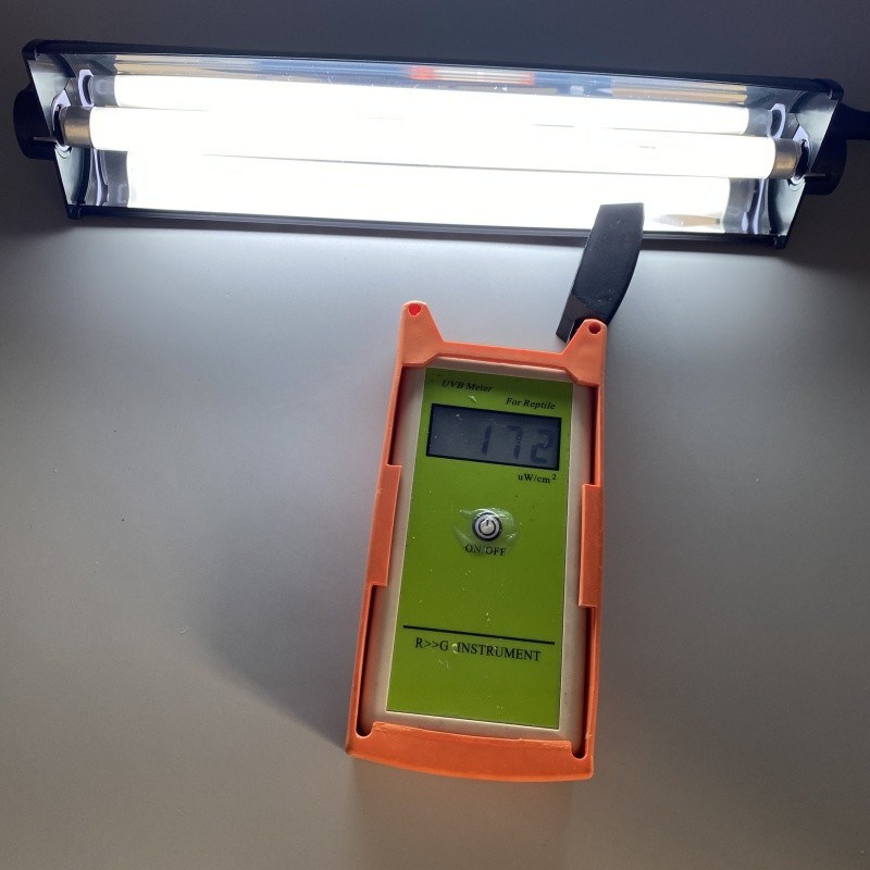 T5 10.0 Reptile UVB Light Kit 24W 22 Inch Uvb Light For Tortoise