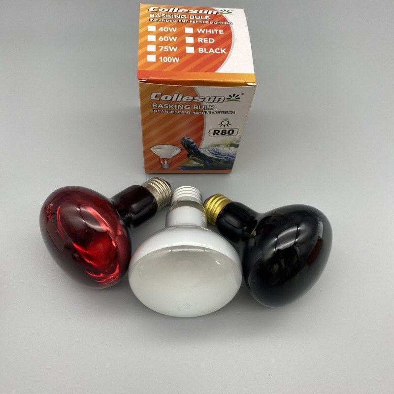 R63 R80 75W Spot Reptile Heat Lamp For Amphibian Bearded Dragon Lizard Tortoise Spider Snake Chameleon