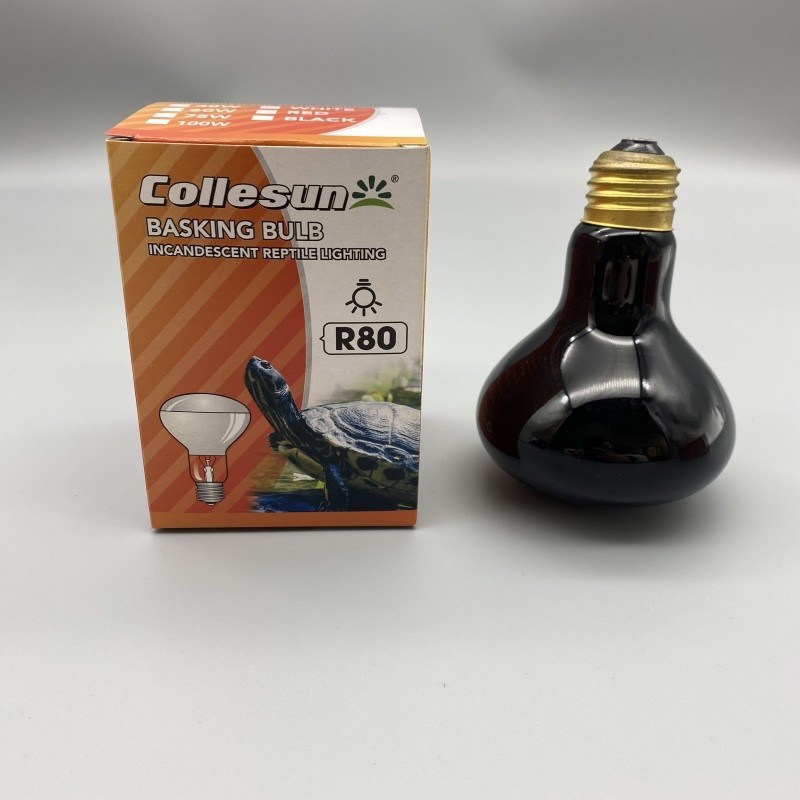OEM R63 R80 60W 75W Uva Uvb Heat Bulb For Reptile And Amphibian